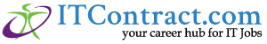 IT Contract